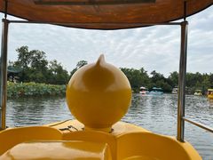 -王老四正宗豆瓣抄手(南街店)