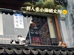 -山塘街