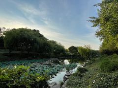 -日出青木·杭帮菜名店