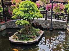 -河内西湖莲花自助餐厅