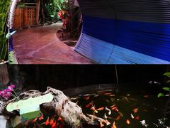 -正佳雨林生态植物园