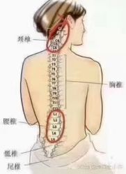 -香薇妮丝女子减肥院