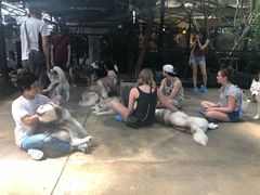 -TrueLove @ Neverland (Husky Cafe)