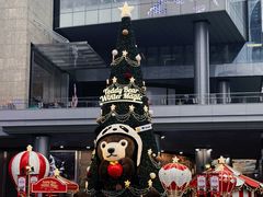 -青石桥花鸟鱼虫市场(叠翠城店)