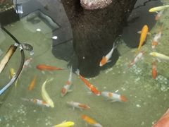 -湛江海滨宾馆-醉海楼