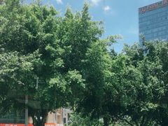 -八仙山公园