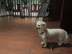 -冶春茶社(星汉大厦店)