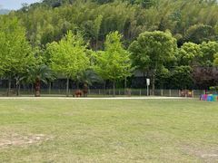 -达蓬山旅游度假区