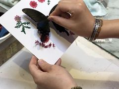 -上海大自然野生昆虫馆(东方明珠·爬宠昆虫探索中心)