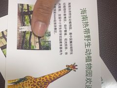 -海南热带野生动植物园