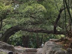 -晓港公园