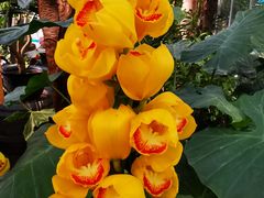 -国家植物园南园