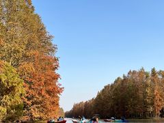 -上海海湾国家森林公园