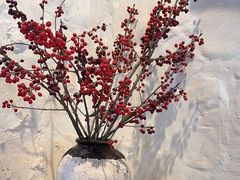 -Apollo·西班牙小酒馆(安福路店)