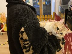 -南京Hallo宠物乐园·哈罗犬舍·柴犬繁育基地