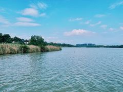 -华侨城湿地公园