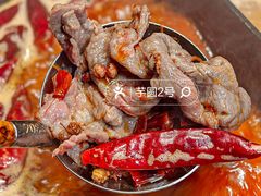 -大龙燚·旷野鲜火锅(广州首店)