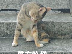 -威远炮台