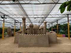 -南宫五洲植物乐园