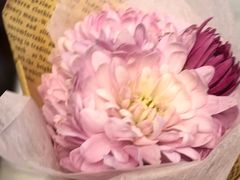 -小苍兰风铃草蛋糕甜品(沈阳店)