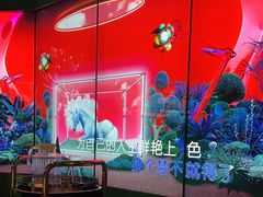 -纯k(宝龙店)