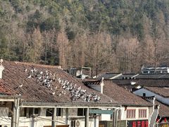 -九华山风景区