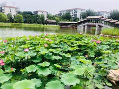 -西海子公园