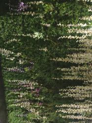 -盘子女人坊古装写真摄影(天津总店)