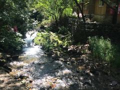 -本溪汤沟绿石谷森林公园