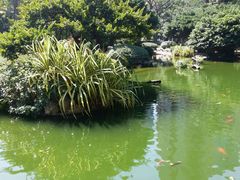 -九龙公园