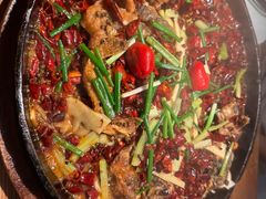 -老板恋上鱼(高新万达店)