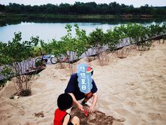 -东郊湿地公园