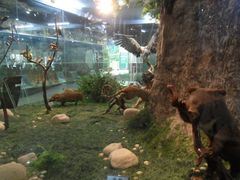 -郑州自然博物馆(惠济区)