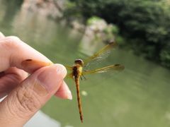 -大连冰峪旅游度假区