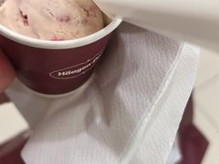 -哈根达斯(虹口店)
