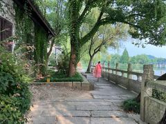 -鲁镇