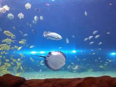 -华夏文旅海洋公园