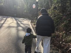 -潜山国家森林公园