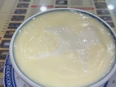 招牌双皮奶-捷信牛奶甜品世家(柳巷店)