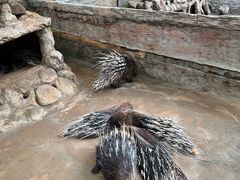 -海南热带野生动植物园