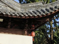-秋霞圃
