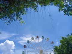 -广东花都香草世界旅游度假区