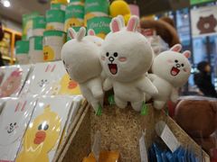 -line friends(明洞旗舰店)