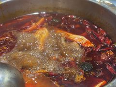 -金鼎雪山牦牛杂火锅(理县总店)