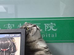 -半岛宠物医院24小时(科华中路店)