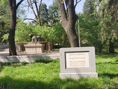 -北京动物园-畅观楼