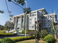 -深圳大学总医院