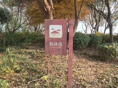 -贡湖湾湿地公园