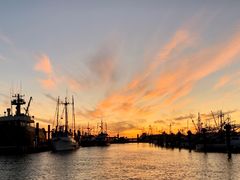 -Steveston Pizza Company (Richmond)