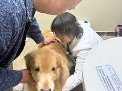 -美联众合动物医院·24h转诊中心